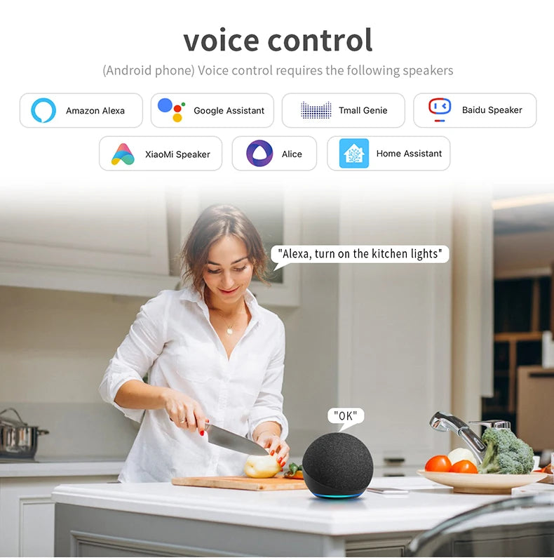 For Apple Homekit Touch Switch WIFI Smart Home Automation Wall Light Switch Interruptor Inteligenter 1/2/3Gang Siri VoiceControl