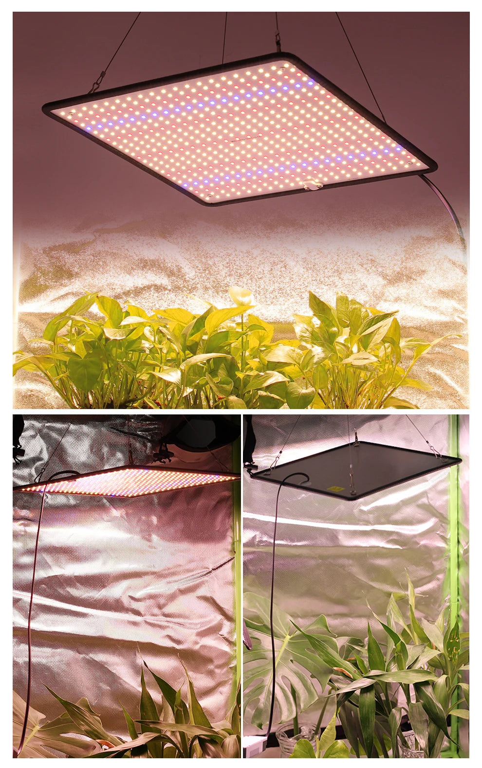 TRANYTON 40W LED Grow Light Full Spectrum, Phyto Lamp for Indoor Plants, AC85-240V for Grow Tent & Hydroponics