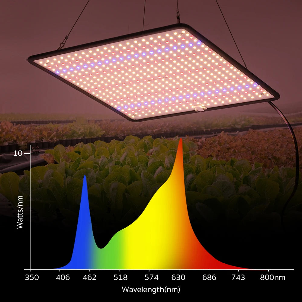 TRANYTON 40W LED Grow Light Full Spectrum, Phyto Lamp for Indoor Plants, AC85-240V for Grow Tent & Hydroponics