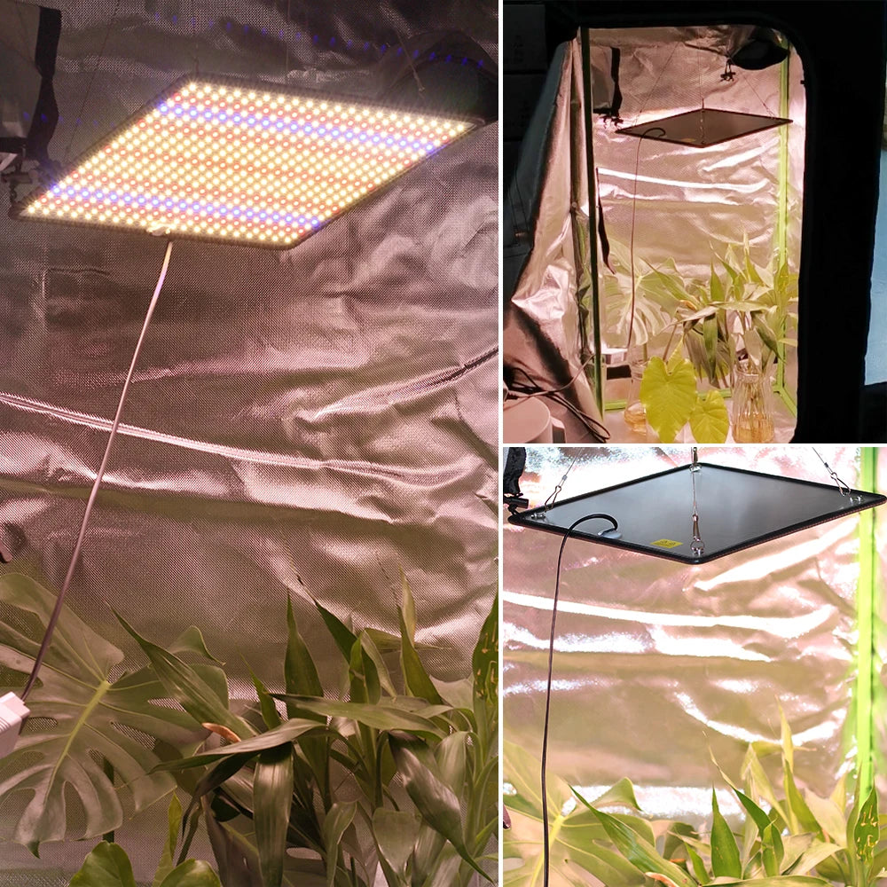 TRANYTON 40W LED Grow Light Full Spectrum, Phyto Lamp for Indoor Plants, AC85-240V for Grow Tent & Hydroponics